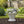 Earthbound - Garden Planter