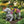 Game of Fetch - Dachshund Garden Planter