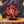 Rose Ganesha Car Dashboard