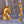 New Coin Horse Head