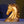 New Coin Horse Head