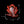 Rose Ganesha Car Dashboard
