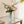 Halos of Grey - Glass Art Deco Vase Set of 2