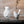 Geometrical Finch