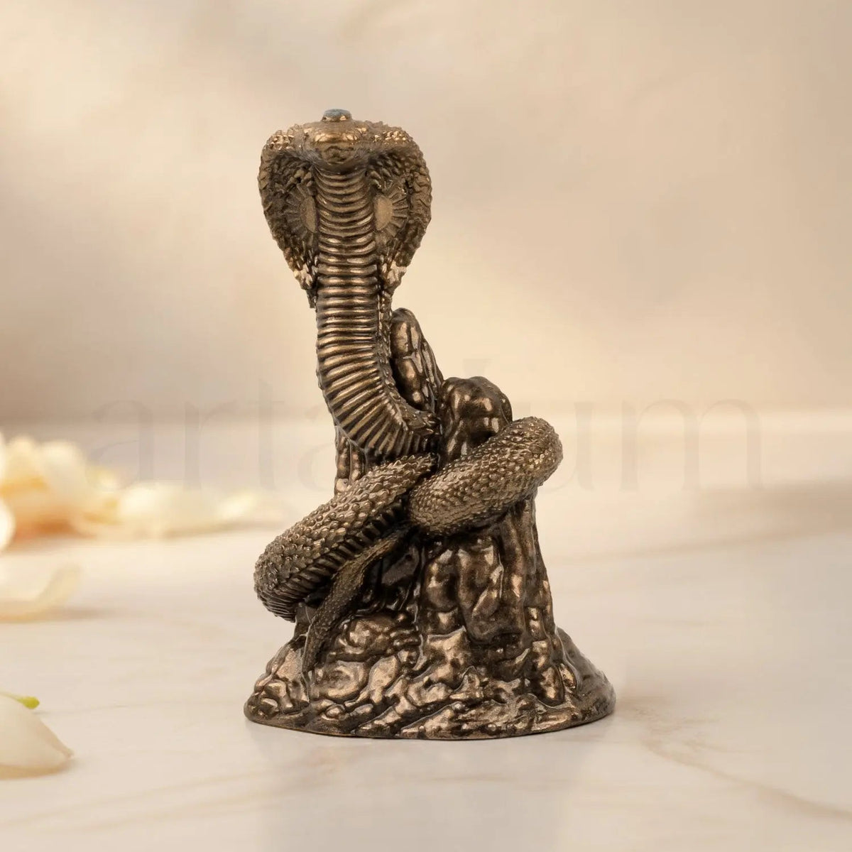 Naag Roop Gogaji Idol
