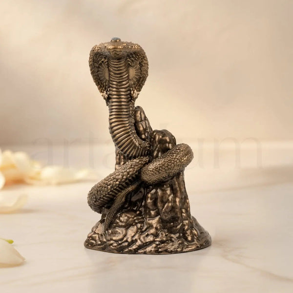 Naag Roop Gogaji Idol