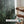 A Monsoon Lush The Artarium