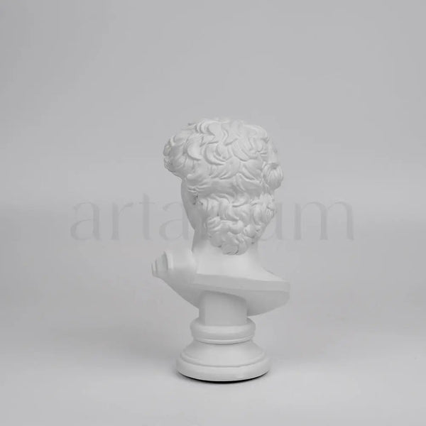 David’s Bust