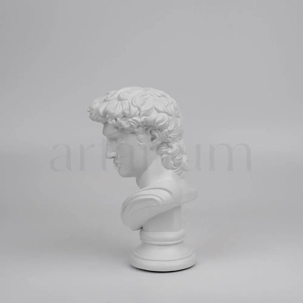 David’s Bust