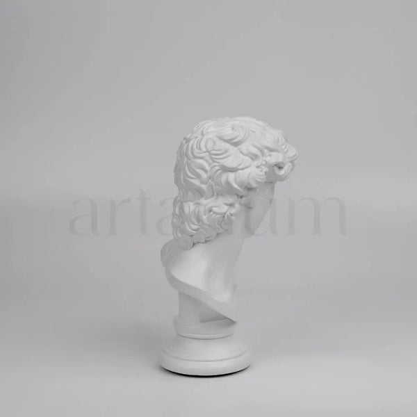 David’s Bust
