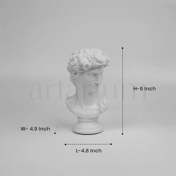 David’s Bust