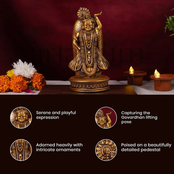 shrinath ji idol