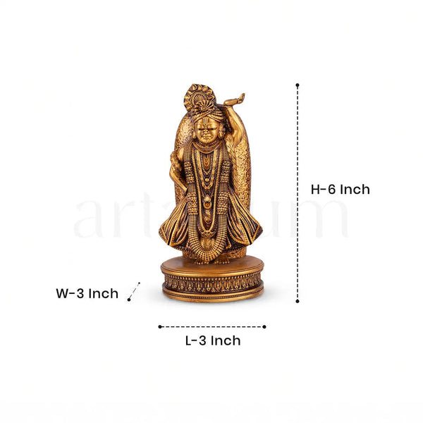 shri nath ji murti