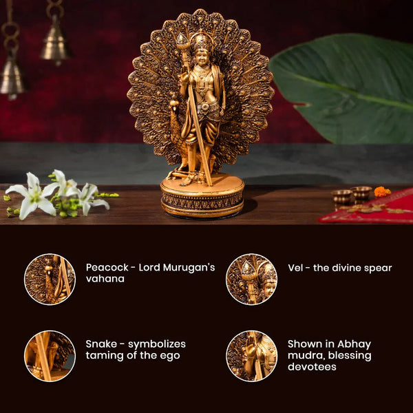 Murugan Swami Car Dashboard