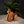 The Mighty Ape