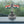 Indian National Flag Car Dashboard