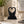 Heart of Harmony Elephant Sculpture 