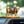 Kamdhenu Cow Car Dashboard
